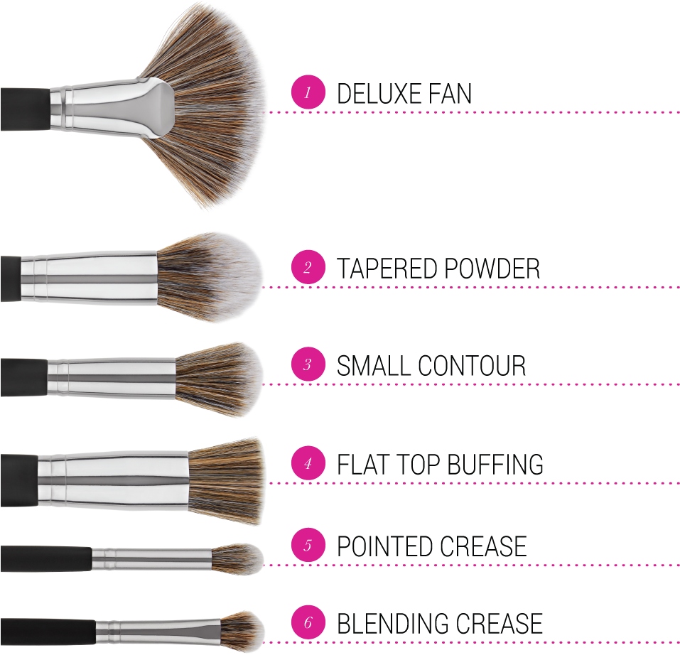 Makeup Brush Typesand Uses PNG Image