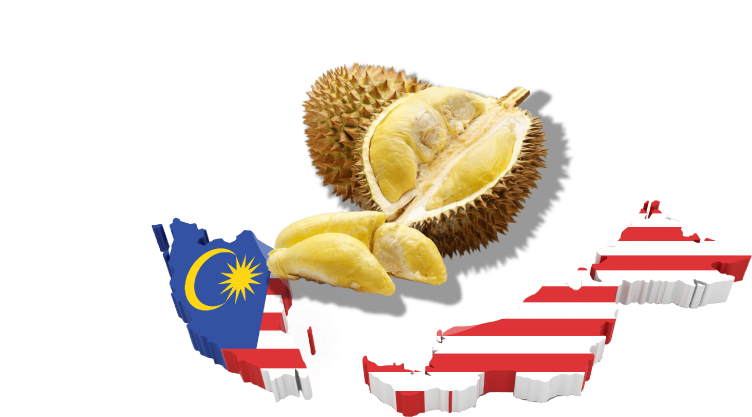 Malaysia Durian Fruit National Flag PNG Image