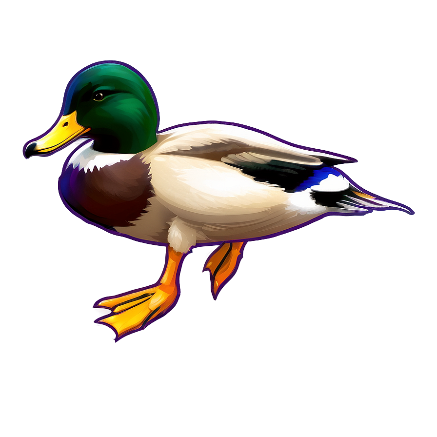 Mallard Duck B PNG Image