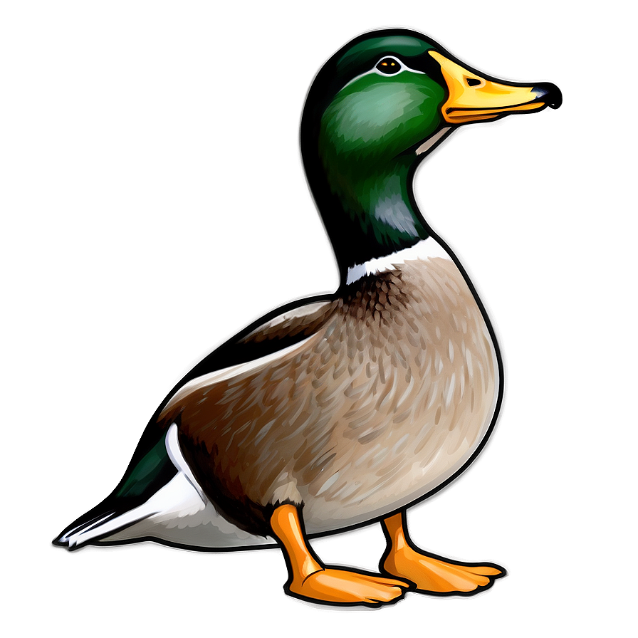 Mallard Duck Drawing Png Vlv60 PNG Image