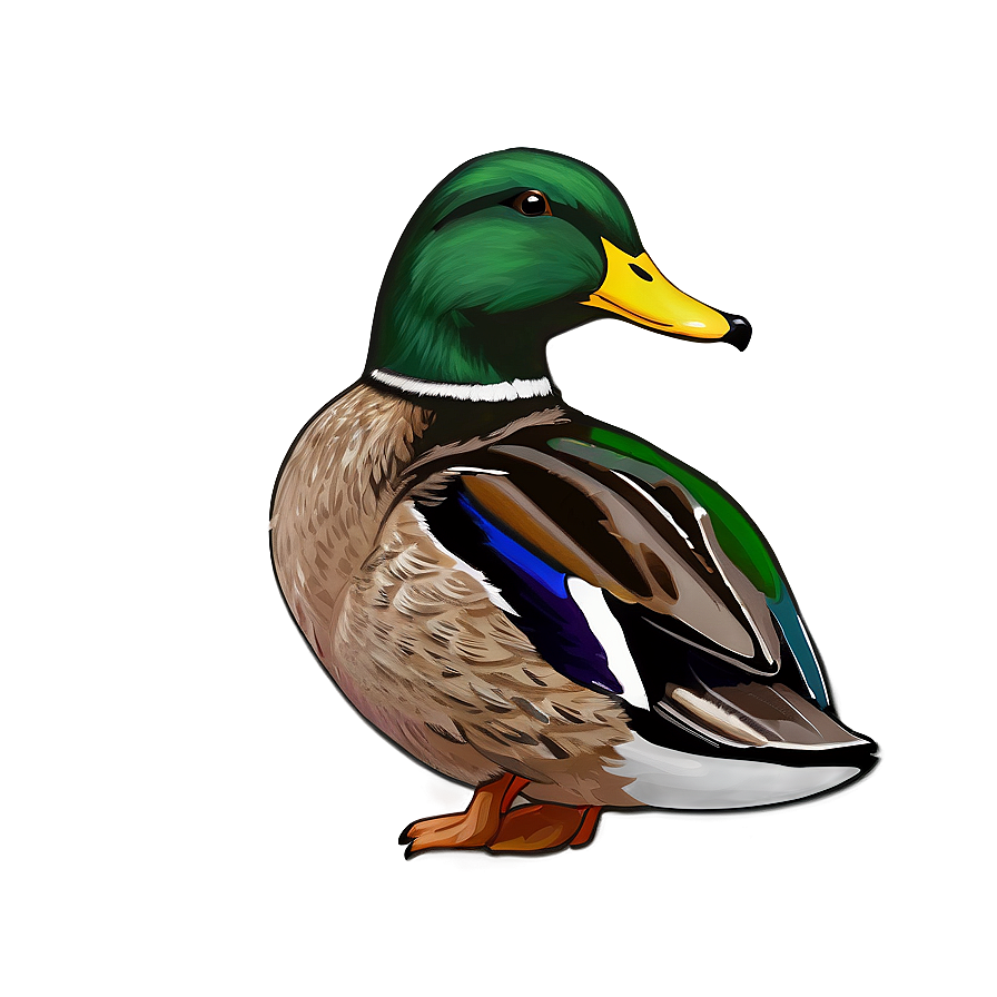 Mallard Duck Habitat Png 06262024 PNG Image