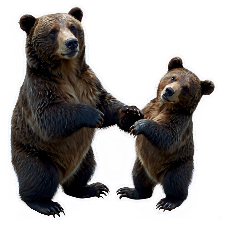 Mama Bear With Baby Bear Png Cbk PNG Image