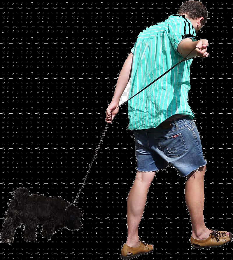 Man Walking Dog Transparent Background PNG Image