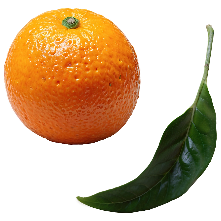 Mandarin Orange Png Olg27 PNG Image