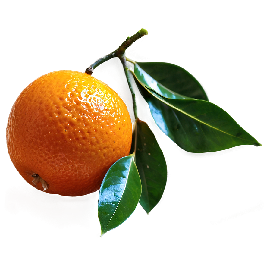 Mandarin Oranges Png Oio57 PNG Image