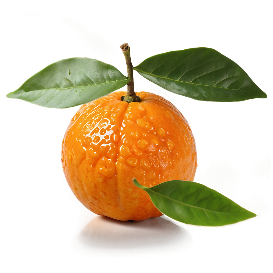 Mandarin With Leaf Png 48 PNG Image