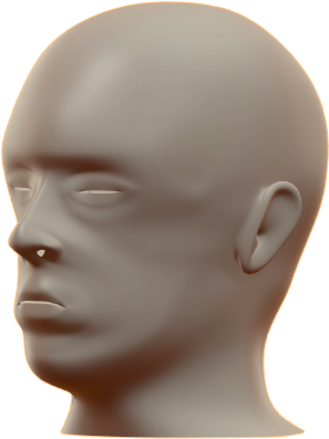 Mannequin Head Model Display PNG Image