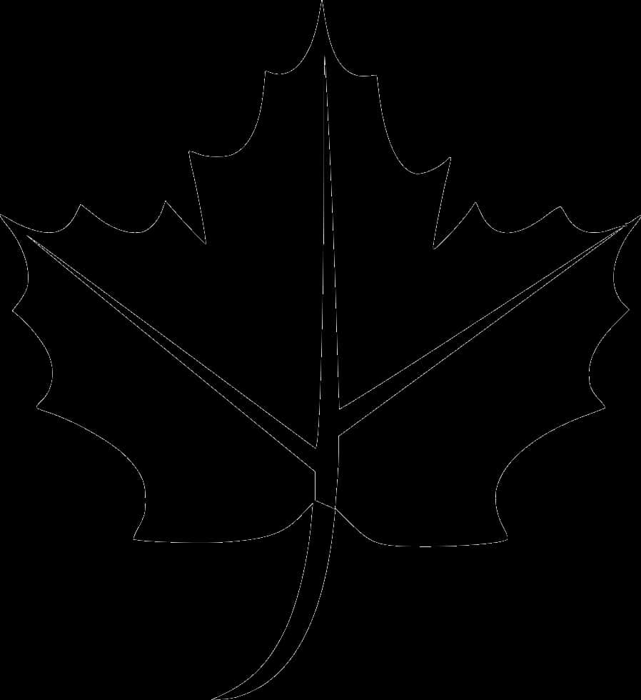 Maple Leaf Outline Graphic PNG Image