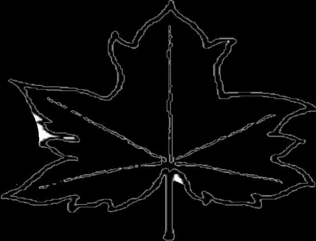 Maple_ Leaf_ Outline_ Silhouette PNG Image