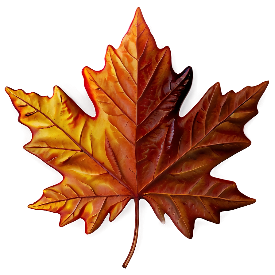 Maple Leaf Png Jbd PNG Image