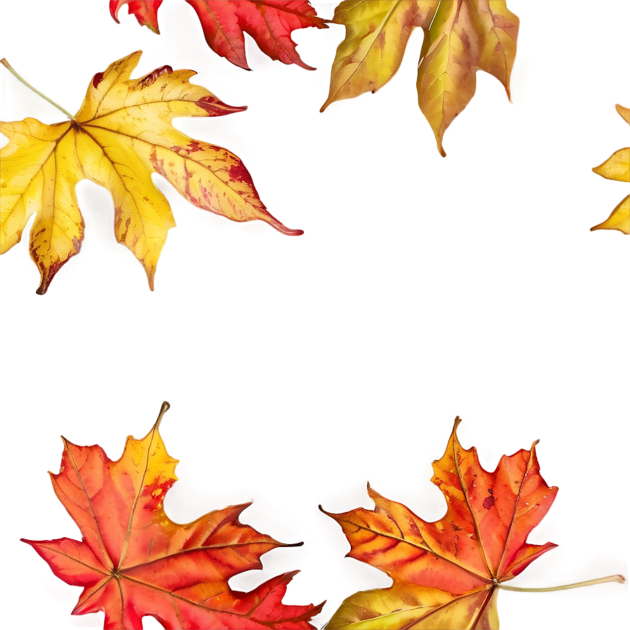 Maple Leaves Falling Png 06132024 PNG Image