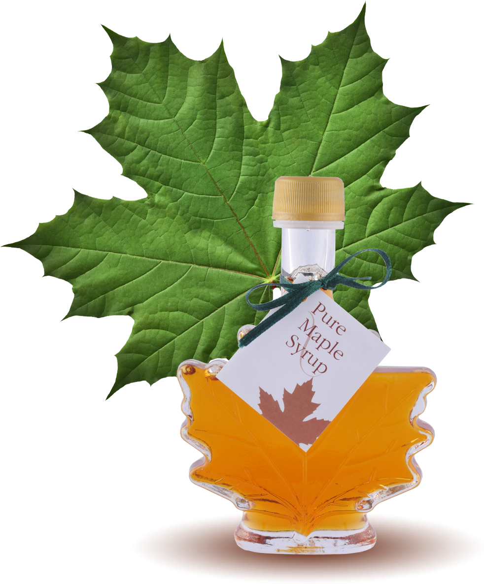 Maple Syrup Bottle Green Leaf PNG Image