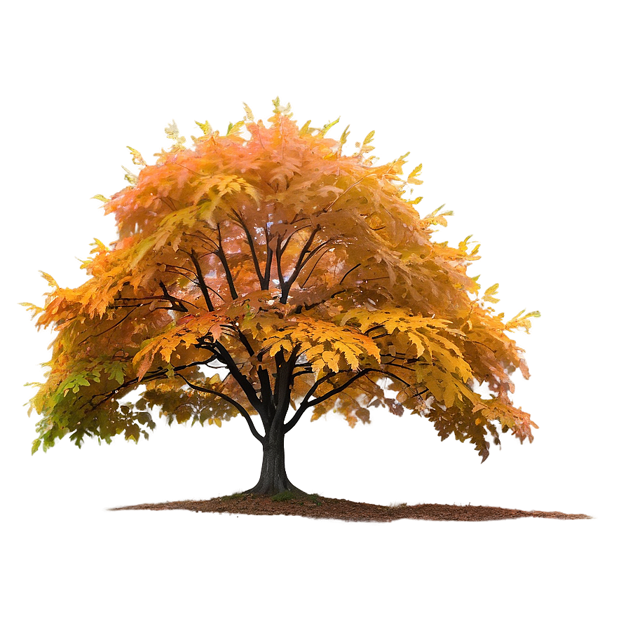 Maple Tree In Foggy Morning Png Qvl36 PNG Image