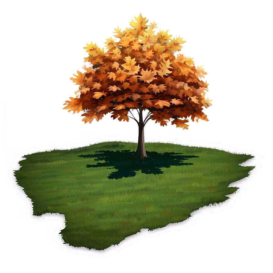 Maple Tree Shadow On Ground Png 3 PNG Image