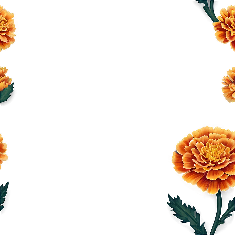 Marigold C PNG Image