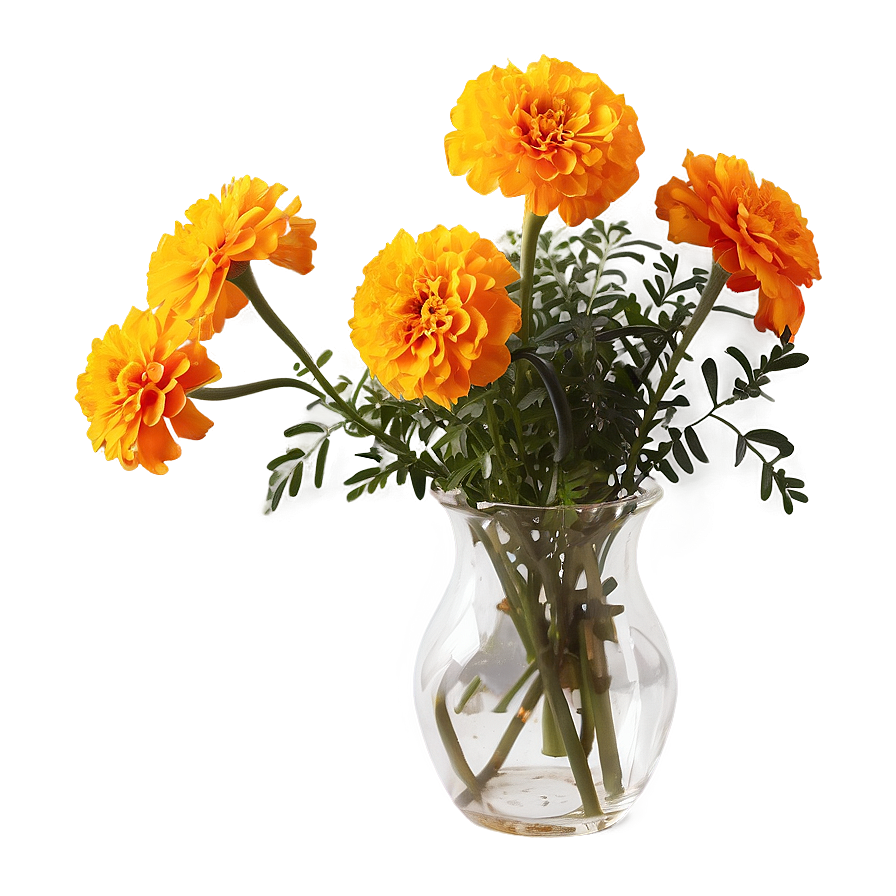 Marigold In Vase Png 06112024 PNG Image