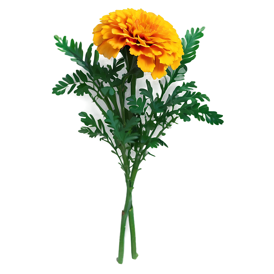 Marigolds Floral Arrangement Png 06132024 PNG Image