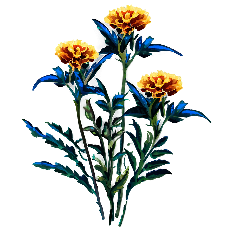 Marigolds Floral Pattern Png Vcr PNG Image