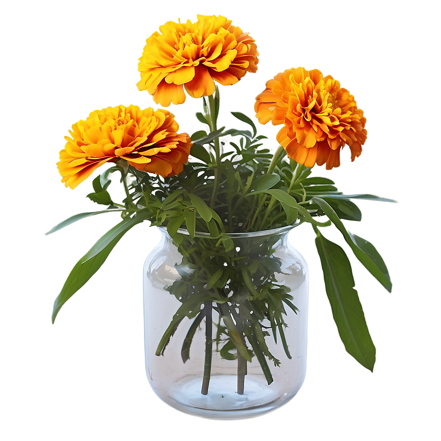 Marigolds In Vase Png Nja95 PNG Image