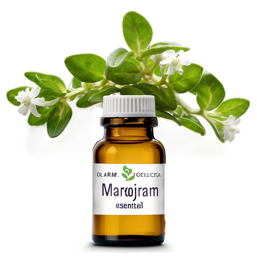 Marjoram Essential Oil Png 06292024 PNG Image