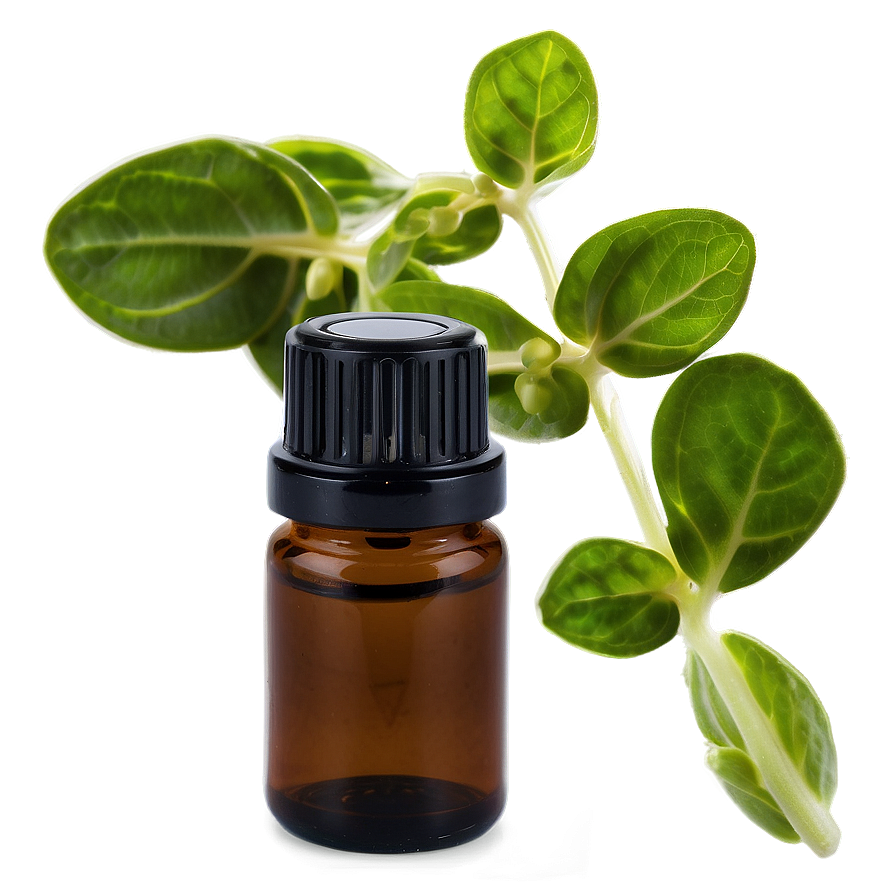 Marjoram Essential Oil Png 06292024 PNG Image