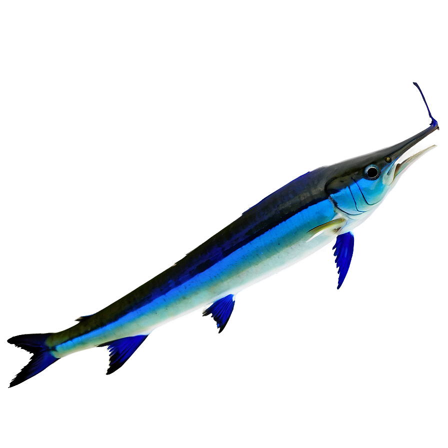 Marlin Silhouette Png 06242024 PNG Image