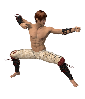 Martial_ Artist_ Fighting_ Stance PNG Image