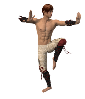 Martial_ Artist_ Stance_ Render PNG Image