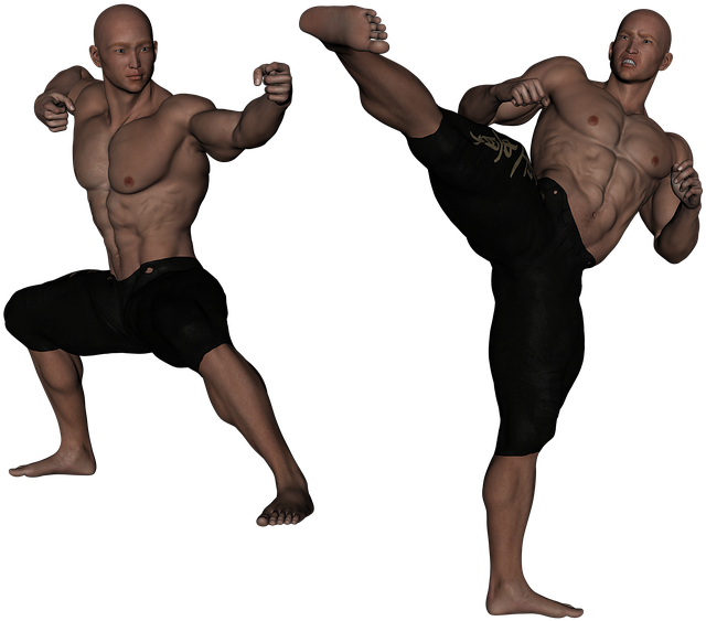 Martial_ Arts_ Demonstration PNG Image