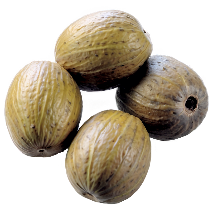 Marula Nut Png Esg PNG Image