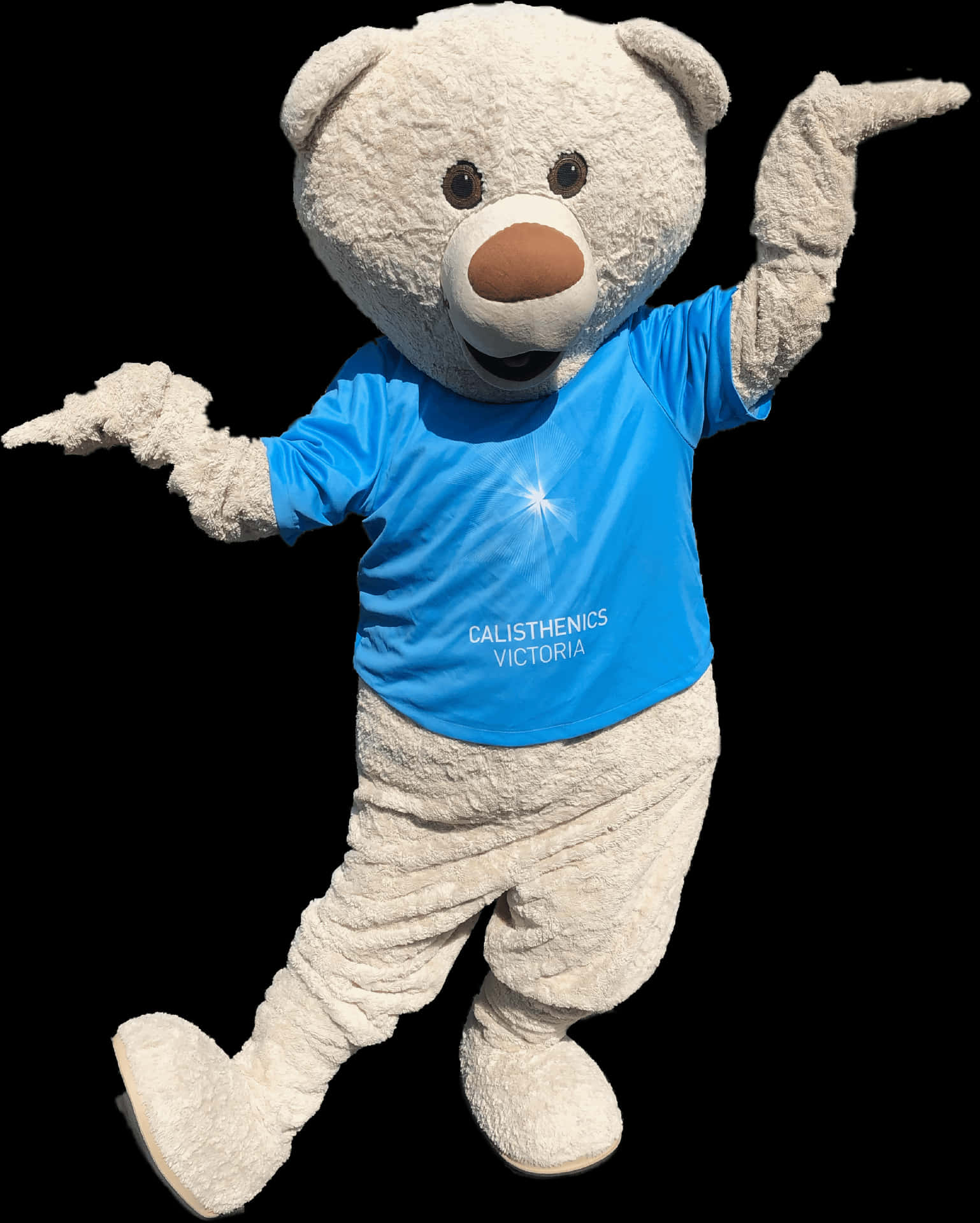 Mascot Teddy Bearin Blue Shirt PNG Image