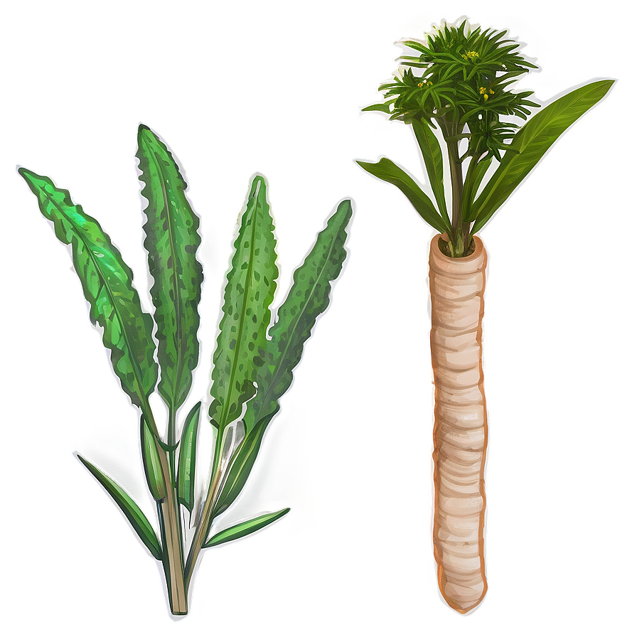 Medicinal Herb Png Tnn50 PNG Image