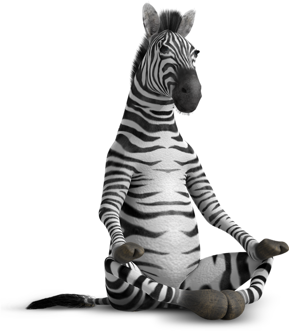 Meditative Zebra Crosslegged Pose PNG Image