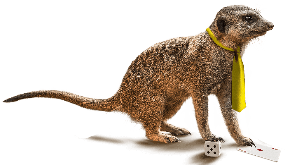 Meerkat Office Worker Illustration PNG Image