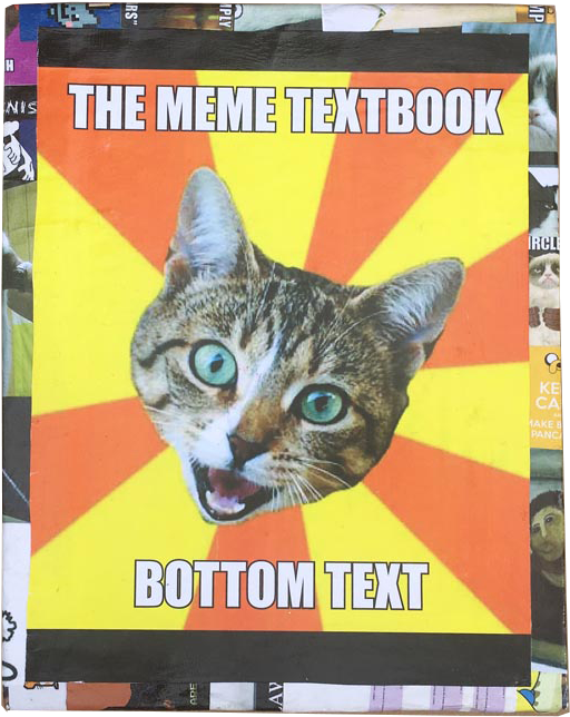 Meme Textbook Cat.jpg PNG Image