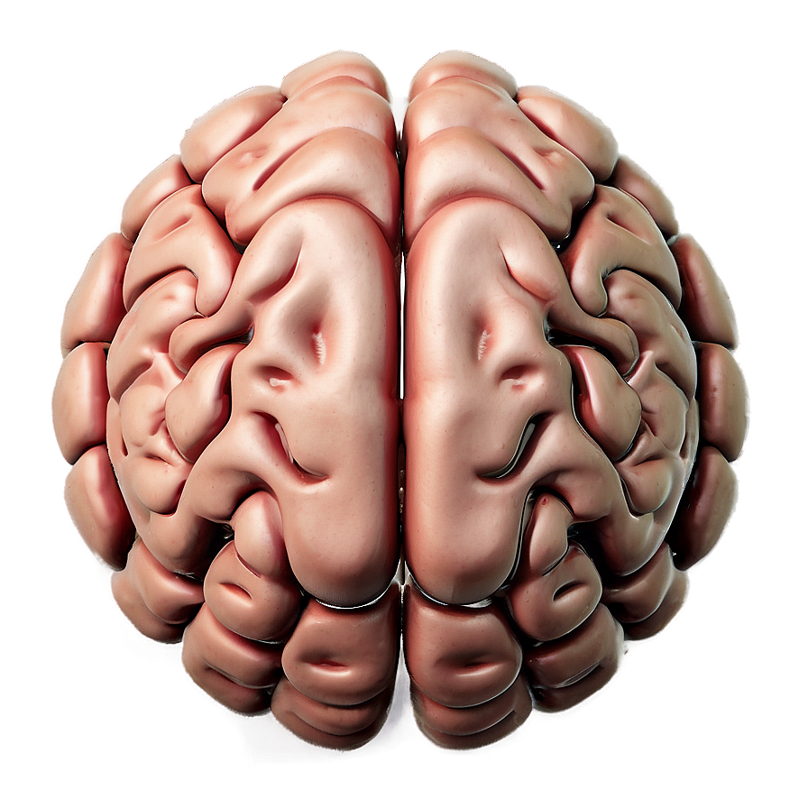 Mental Strength Brain Emoji Png 06132024 PNG Image