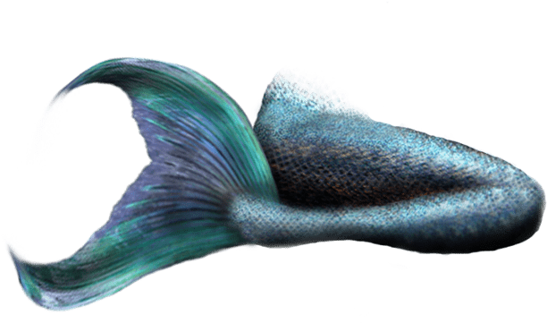 Mermaid Tail Realistic Design PNG Image