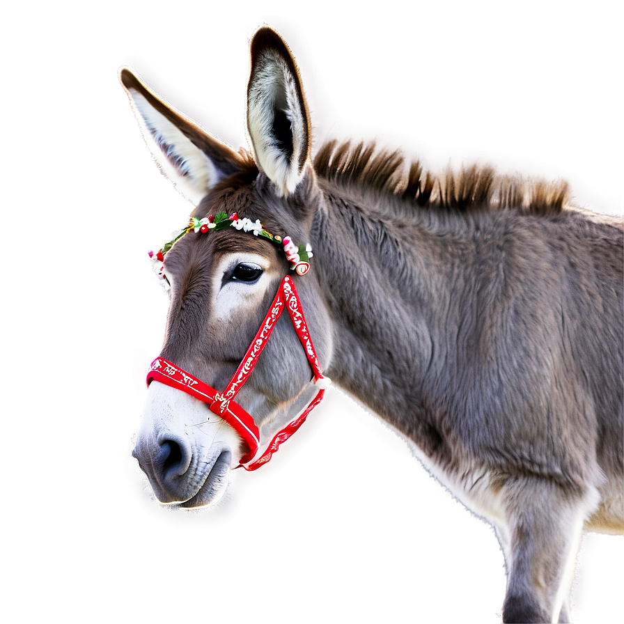 Merry Christmas Donkey Png 05232024 PNG Image