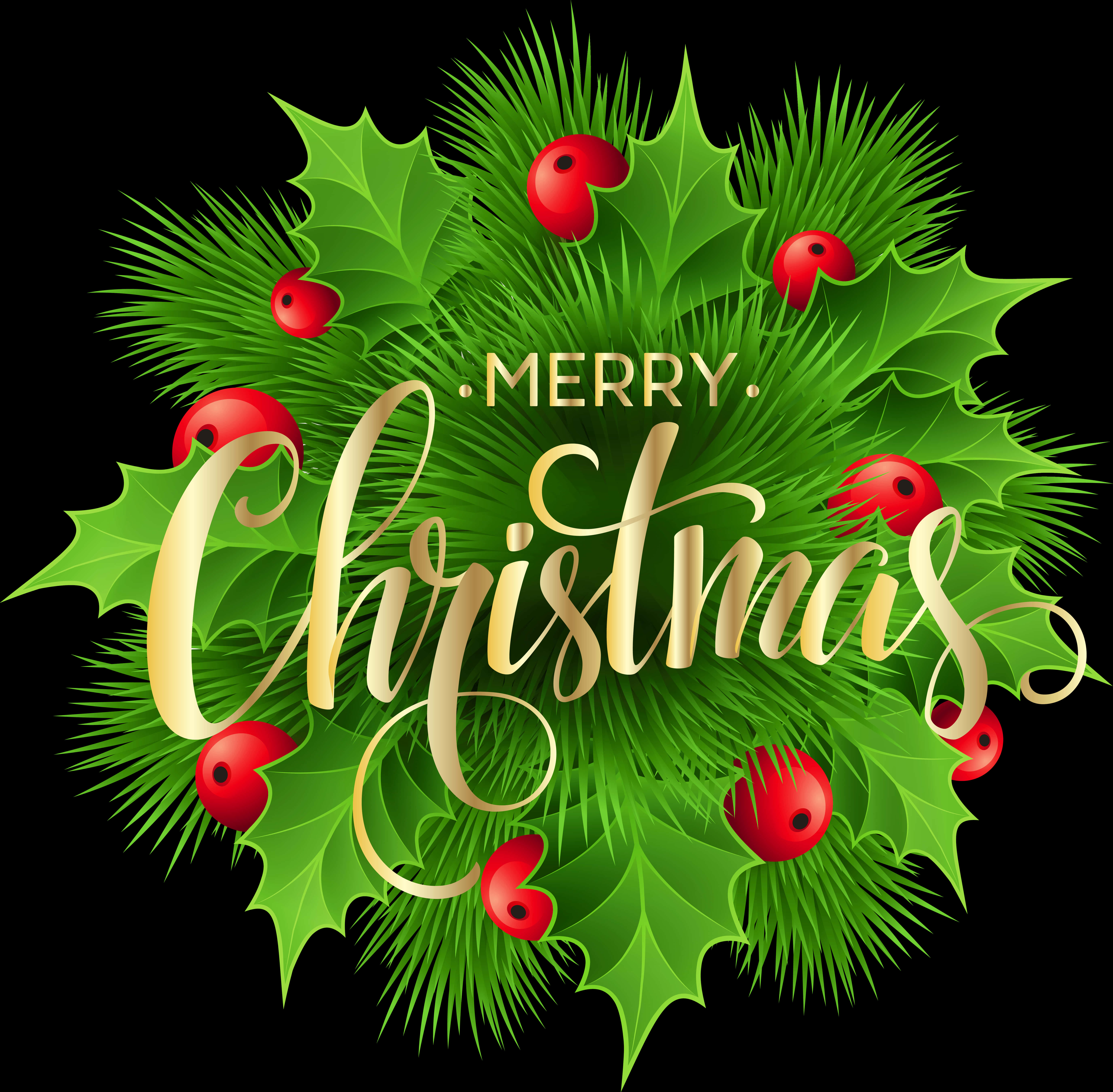 Merry Christmas Hollyand Berries PNG Image