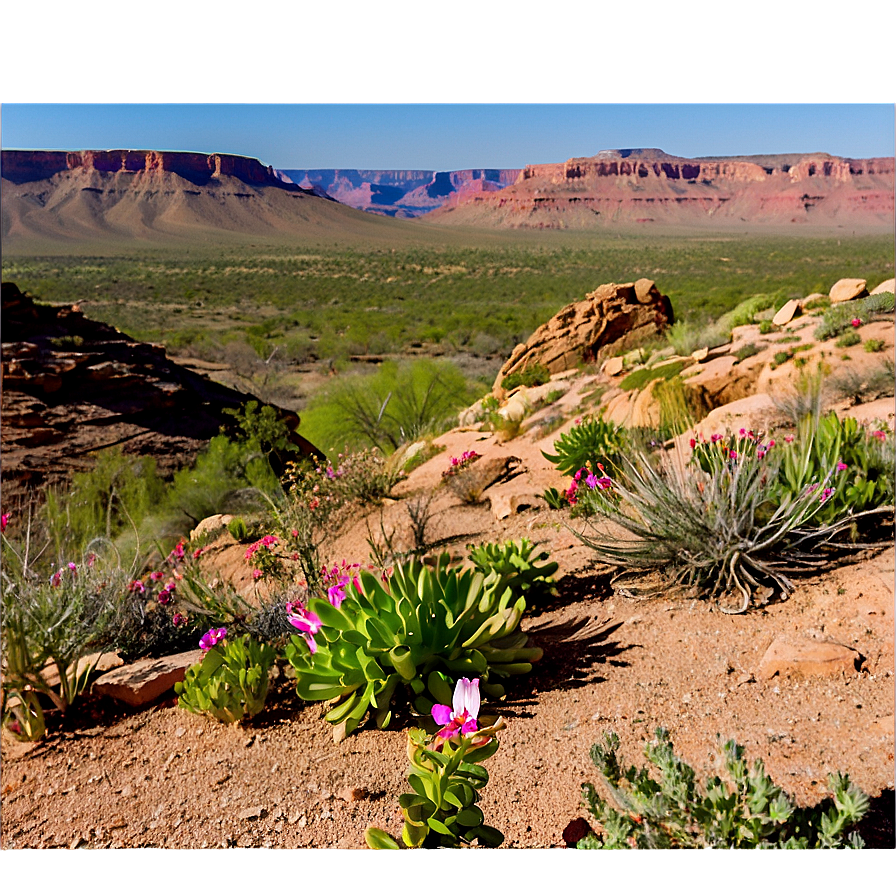 Mesa In Spring Bloom Png Jbx91 PNG Image