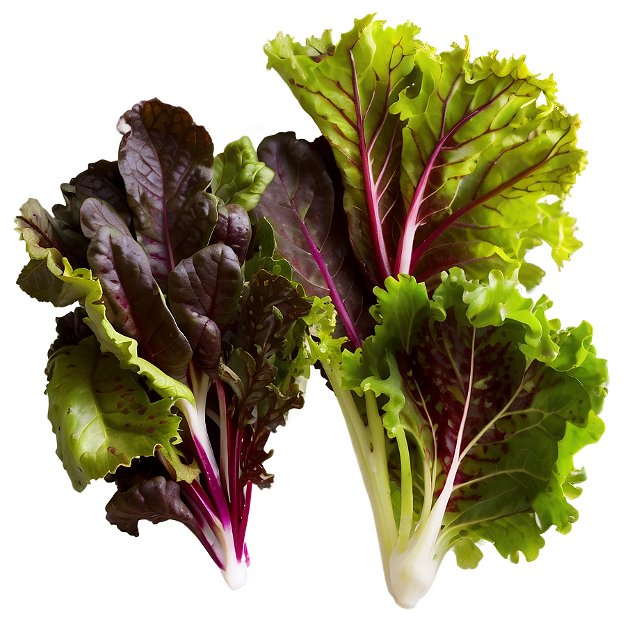 Mesclun Greens Png Nqg3 PNG Image