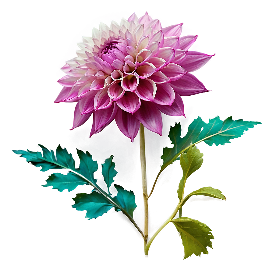 Mesmerizing Dahlia Png 06202024 PNG Image