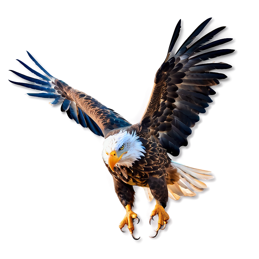 Mexican Eagle In Flight Png Eud88 PNG Image