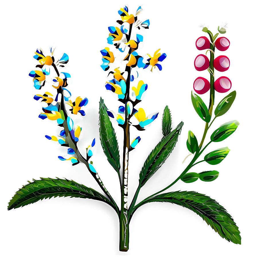 Mexican Wildflowers Png Jcp PNG Image