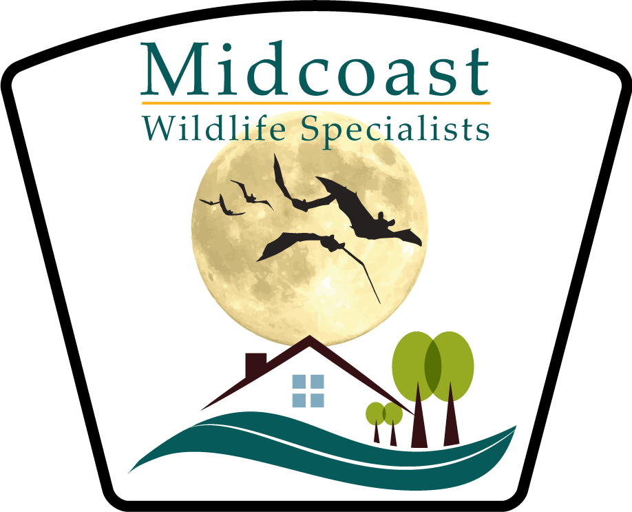 Midcoast Wildlife Specialists Logo PNG Image