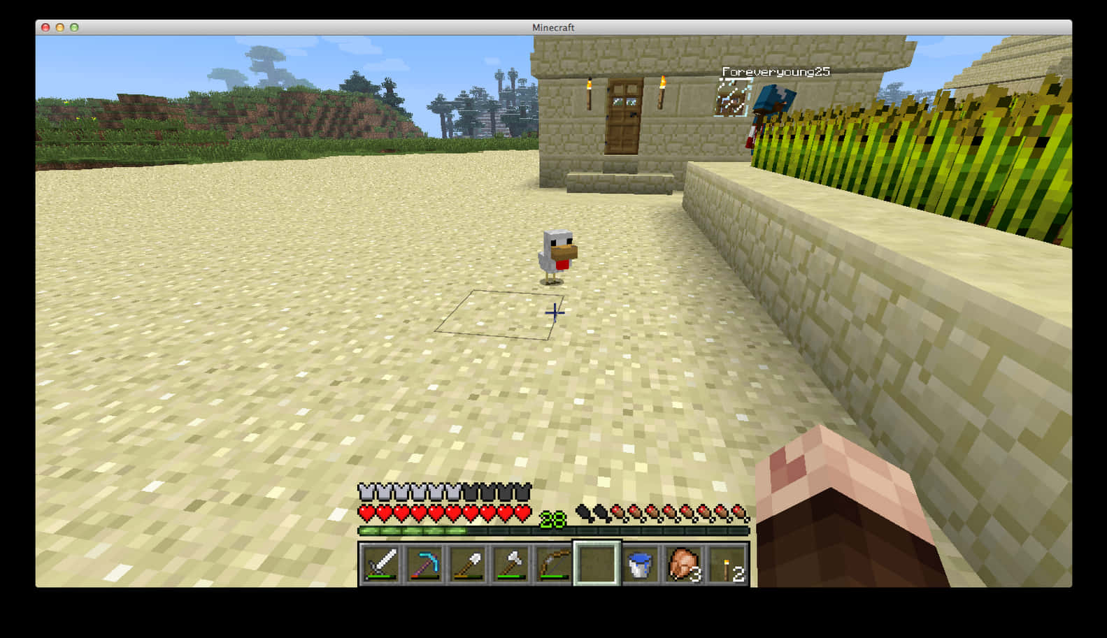 Minecraft_ Sand_ Village_ Chicken_ Adventure PNG Image