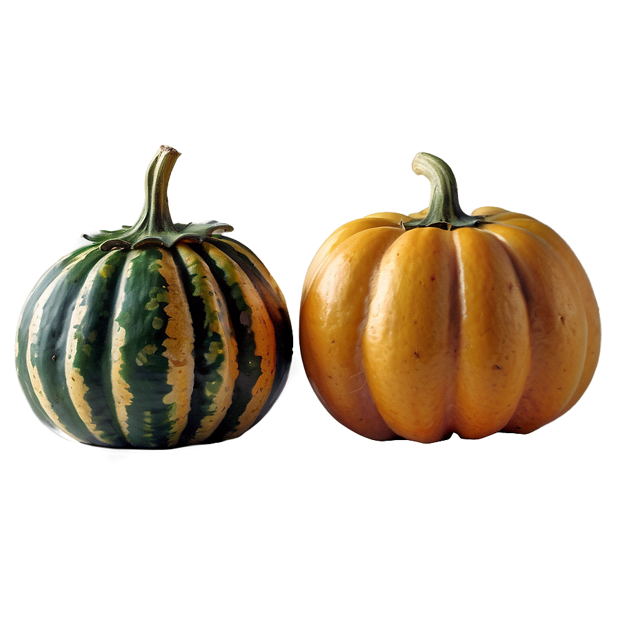 Mini Gourd Png Nfn46 PNG Image