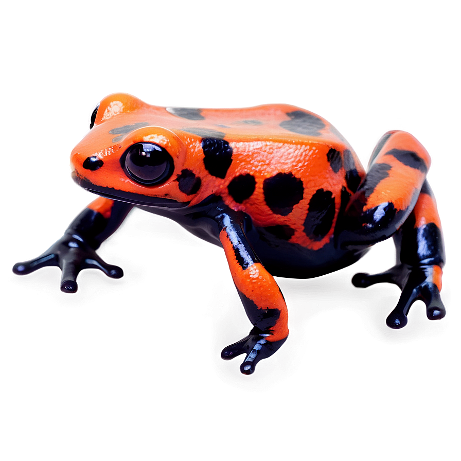 Miniature Poison Dart Frog Png Qru89 PNG Image