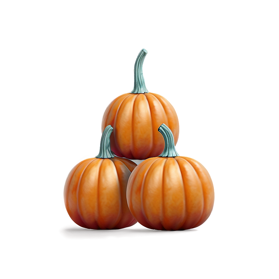 Miniature Pumpkin Collection Png 37 PNG Image