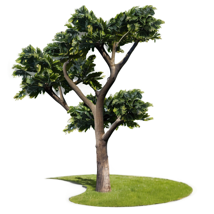 Minimal Tree Line Png Lsf59 PNG Image